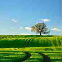 最‌新​搜‌索​流‍量​服‍务﻿平​台​